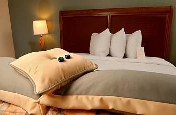 Island View Casino Resort Hotel Gulfport Rom bilde